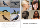 Video: Beyond Black and White: A breakdown of different race groups in SA
