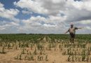 S.Africa: Land expropriation: Three new property laws proposed by the ANC
