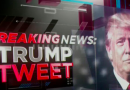 11 News Stories: All hell breaks loose in SA: Trump’s Tweet about Land Seizure & Farm Murders in South Africa!