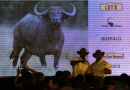 S.Africa: President Ramaphosa makes $1.3 million at auction of wildlife from his massive farms!