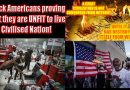 Video & Audio: Blacks are Unfit for Western Civilisation: Smashing cars in USA & Germany